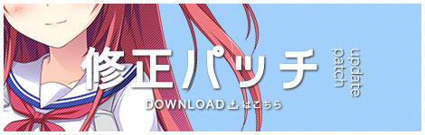 修正パッチ